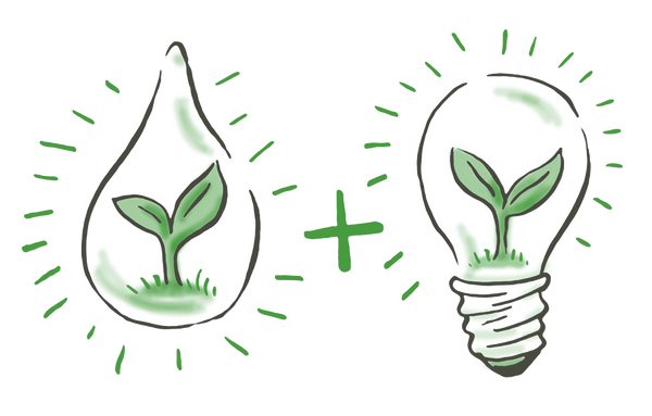 Eine Illustration die einen Wassertropfen und eine Glühbirne zeigt. Im inneren von beiden ist eine Pflanze.