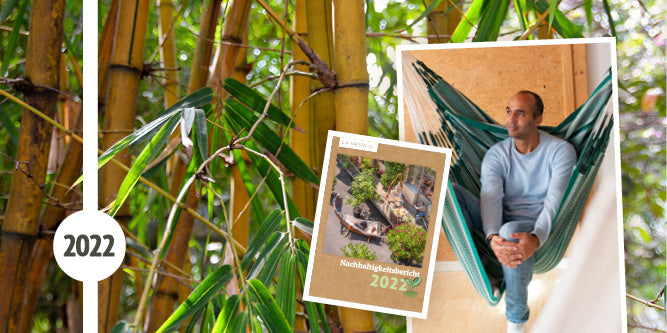 Collage aus Bambuspflanzen, dem Deckblatt des Nachhaltigkeitsbericht und dessen Verfasser in einem Hängesessel