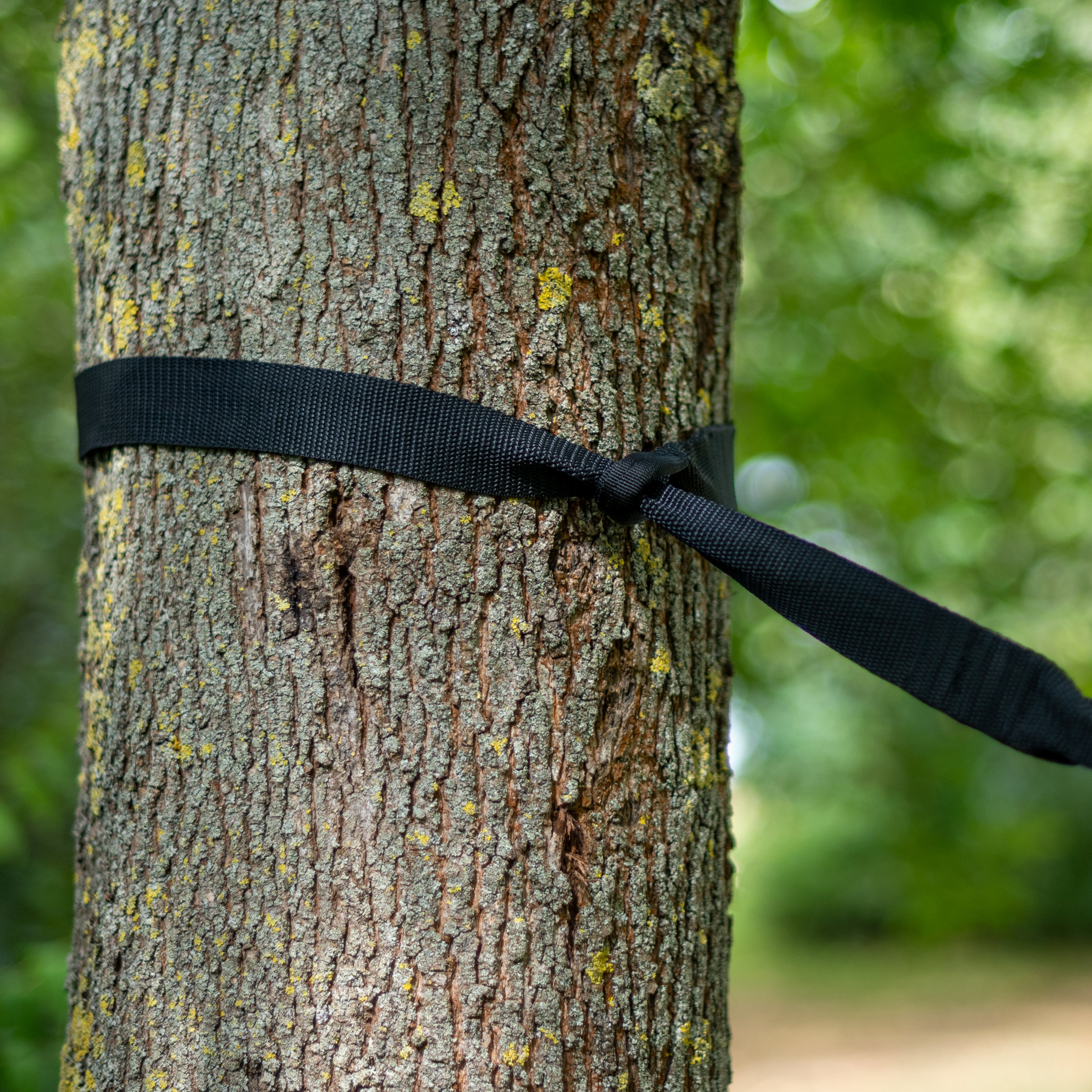 TreeMount 2rope Black - Baum- & Pfosten-Befestigung für Hängematten